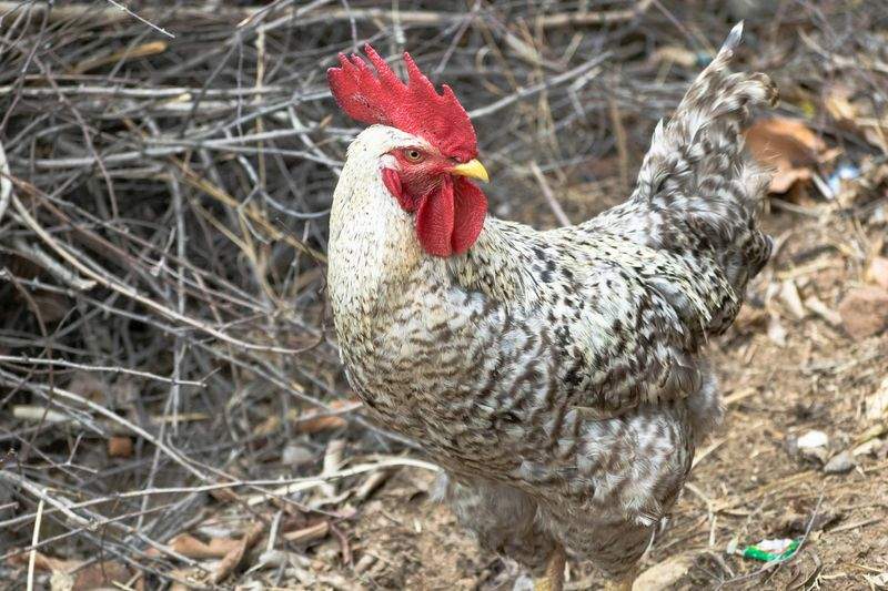 トラブルを防ぐためのコックメンテナンス入門